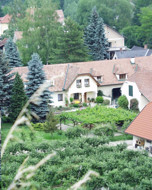 Weinberghof Ilkerl-Luf Bed & Breakfast Krems an der Donau Exterior photo